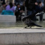 1. JuMaJo Fotomarathon